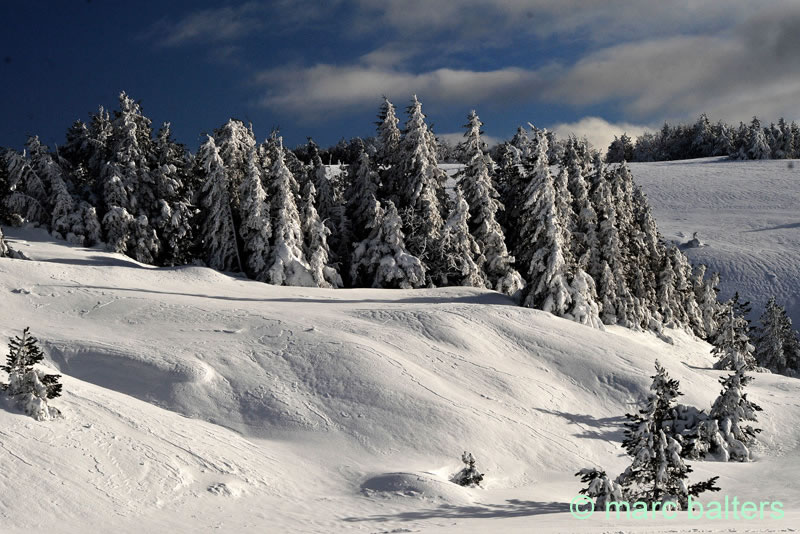 Hiver 2025 26, cevennes, mt aigoual,